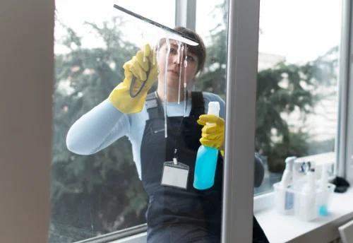 Nettoyage de vitres intérieures et extérieures à Sigottier